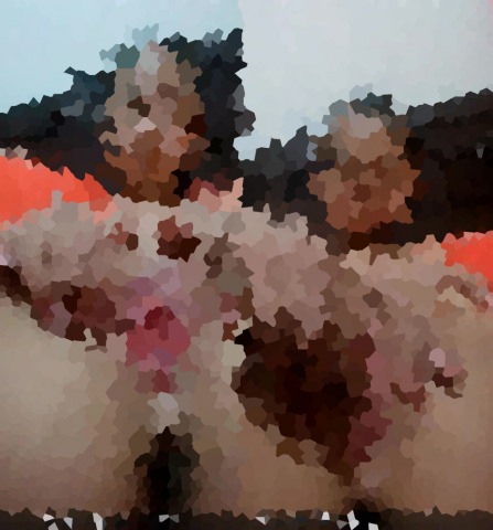 C：「彼氏がいるから、もう見せない！」