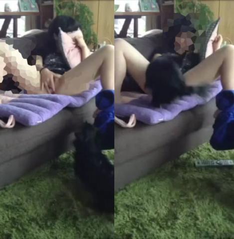 Sコレクション：17本の動画