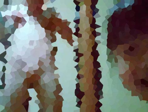 「この2人はQサイ。」