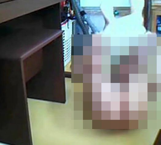 ルリちゃん、可愛くてルックスも抜群