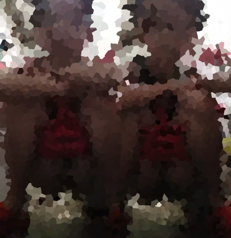 Skypeでの美女Sのオナニー