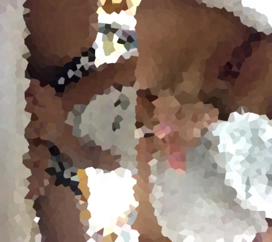 かなり可愛い女の子のCライブ