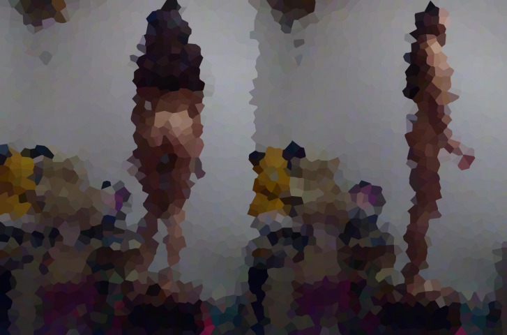 SSクラスの美女がエロ配信