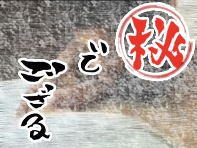 200%の可愛さ CK世代の女の子がアプリで生配信中！