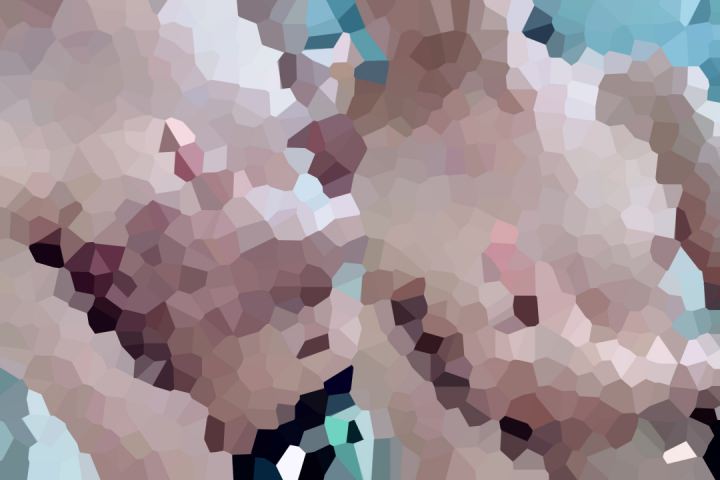 動画集、Cシリーズのセレクション