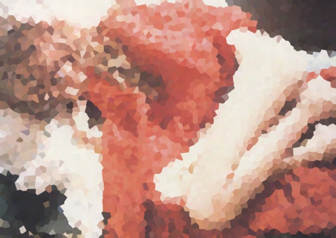 記憶に残る瞬間 2