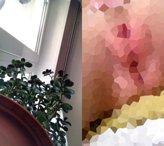 新着！MikuChaで人気ストリーマーを目指しています