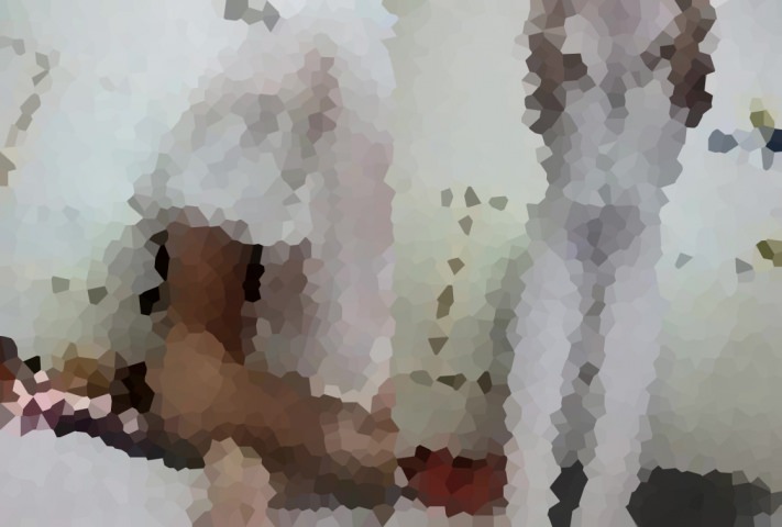 [エロチャット] ロングヘアの美女