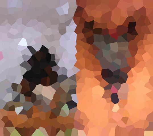 ふっくらとして美しい陰部