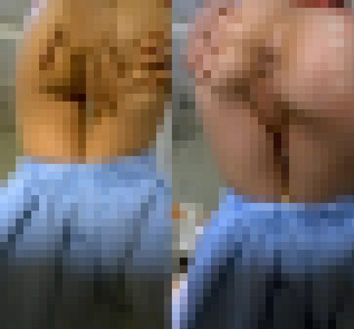 美味しそうな胸