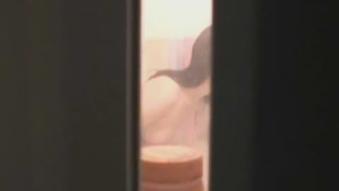 プライベートバスルームの女の子、第010