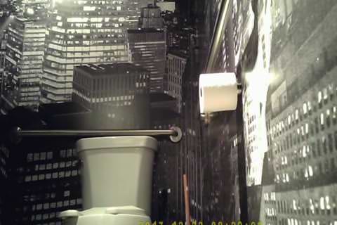 無修正：西洋スタイル（前、後ろ、横） — ロシア人女性