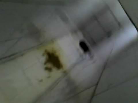 公衆トイレでの下痢 ※目撃情報※