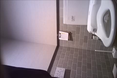 無修正：女子高生・OLの洋式トイレ隠し撮りスペシャル 5 (期間限定4$)