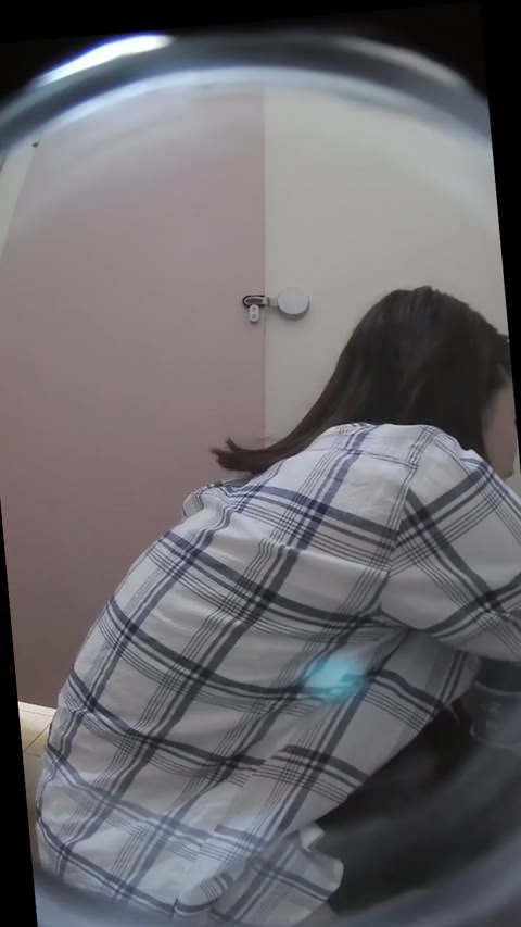 公園の日本式トイレ 3