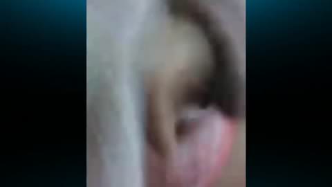 おとなしくて控えめなC3、秘部を隠して