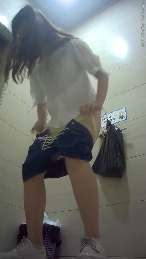 北京の大規模高級ショッピングモール内のトイレ 3