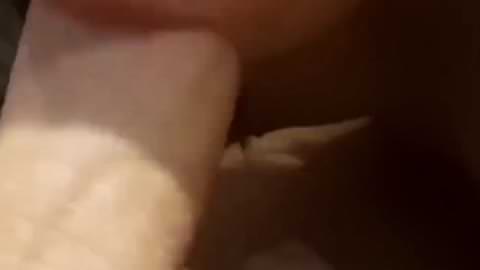 動画流出…期間限定割引