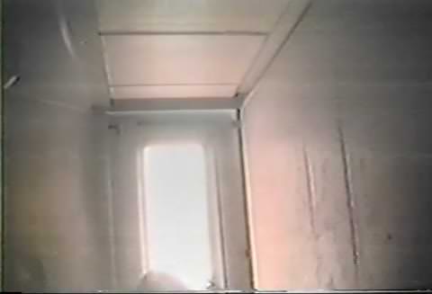 有名女優のトイレ盗撮：貴重な映像