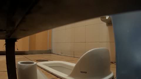 [桜の名所・休憩エリアのトイレ、シリーズ外]