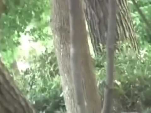 夏のビーチ — 野外放尿 — 第14弾