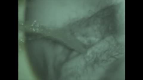 [完売] 洋風居酒屋、赤外線ヒーター付き和式トイレ 001