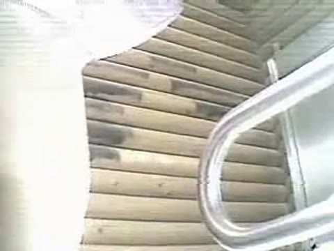 (無) 洋式トイレでのオハミ（花鑑賞）