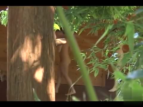 屋外プールで一緒に放尿する女性客たち