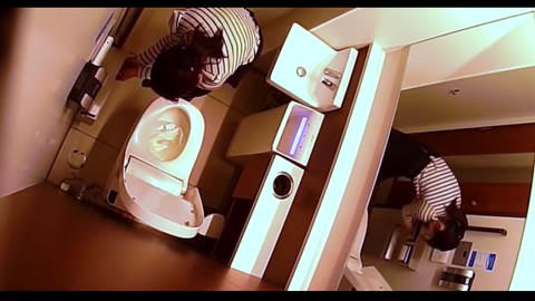 無... 洋式トイレ。最後のJ○