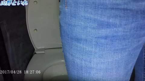 山中の公衆トイレ。国際版 ②