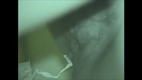 [限定版] 日本式居酒屋、赤外線ヒーター付きトイレ 004