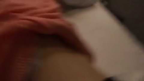 泥酔して帰宅した姉へ