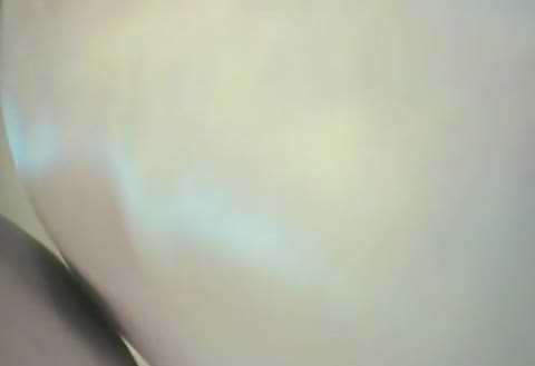 ニュー・リリース、第40弾