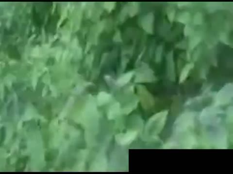 強姦犯に遭遇した2人の少女