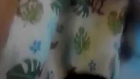 Castでのセックス配信でBANされた