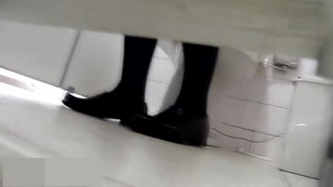 日本のトイレ、正面からの眺め 2