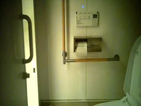 シリーズ「トイレの神」66