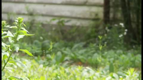 信じられないほど美しい女の子