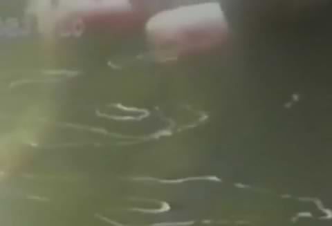 伝説の露天風呂（低価格の旧作）