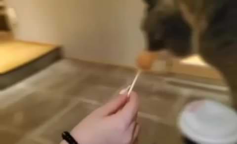 【シリーズ①】巨乳の女の子♪ 細身だけど豊満なボディ♪ プロローグから存分にお楽しみください♪