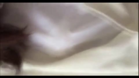 小柄で可愛すぎる、制服セックス