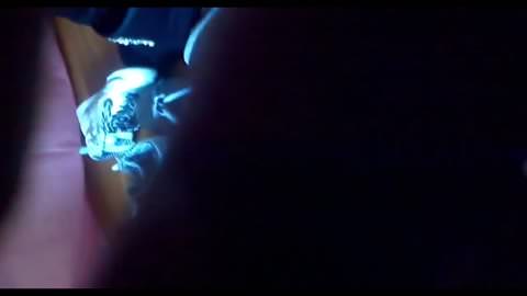 J*Refleでの隠しオプションの実装