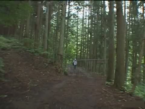 ミヒロの淫らな虫の森（破壊的な無修正版）