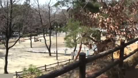 野外での自撮り 29