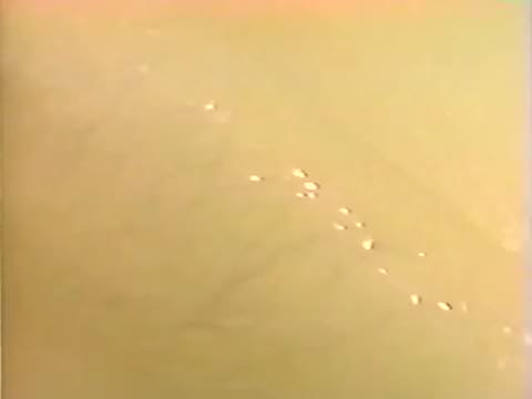 [無修正] ウサギとカメ — コバト・ミア [過去の作品]