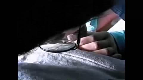 《期間限定》 生産終了 — 梅沢オコ