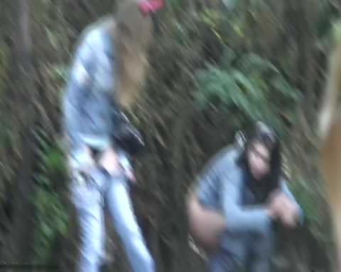 フランス：排泄物を含む森からの厳選コレクション ⓾ [さらに鮮明に！さらに鮮やかに！]