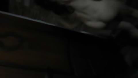 西洋の近親相姦！父と娘のセックス！