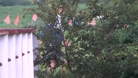 登校途中の路上で放尿 4