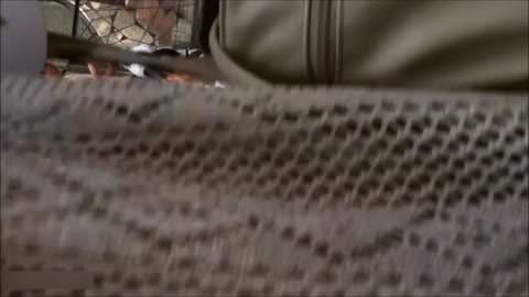 巨乳 ♡ 信じられないほど美しい女の子の隠し撮り ♡